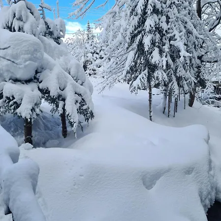 Domek Alpehytte Zawoja